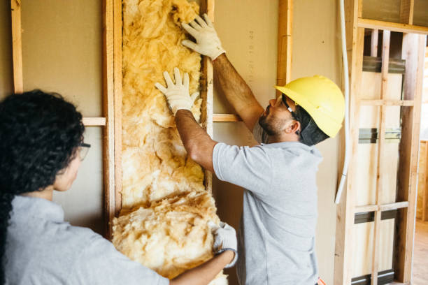 Best Attic Insulation Installation  in Bostonia, CA